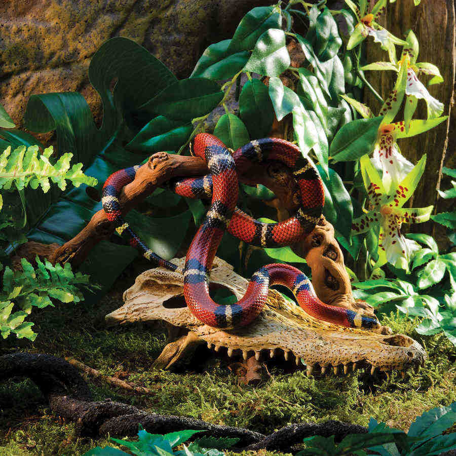 Exo Terra Cr&acirc;nio de crocodilo Decora&ccedil;&atilde;o para terr&aacute;rios, , large Imagem n&uacute;mero 3